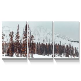 3 Panels Framed Winter Forest Canvas Wall Art Decor,3 Pieces Mordern Canvas Decoration Painting for Office,Dining room,Living room